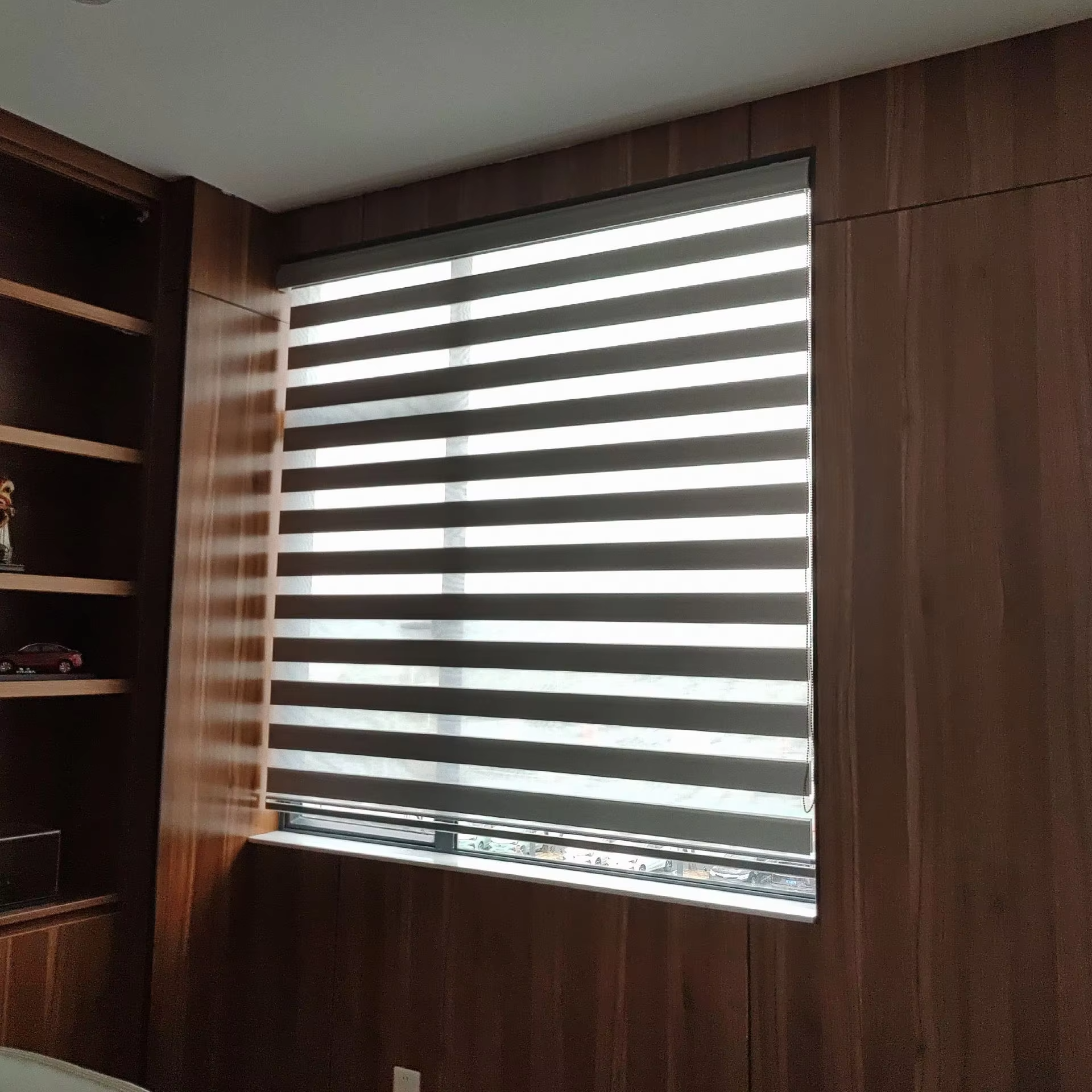 Adjustable Double-Layer Blackout Roller Blind Simple Breathable Office Sunshade Zebra Design Soft Gauze Day Night Balcony